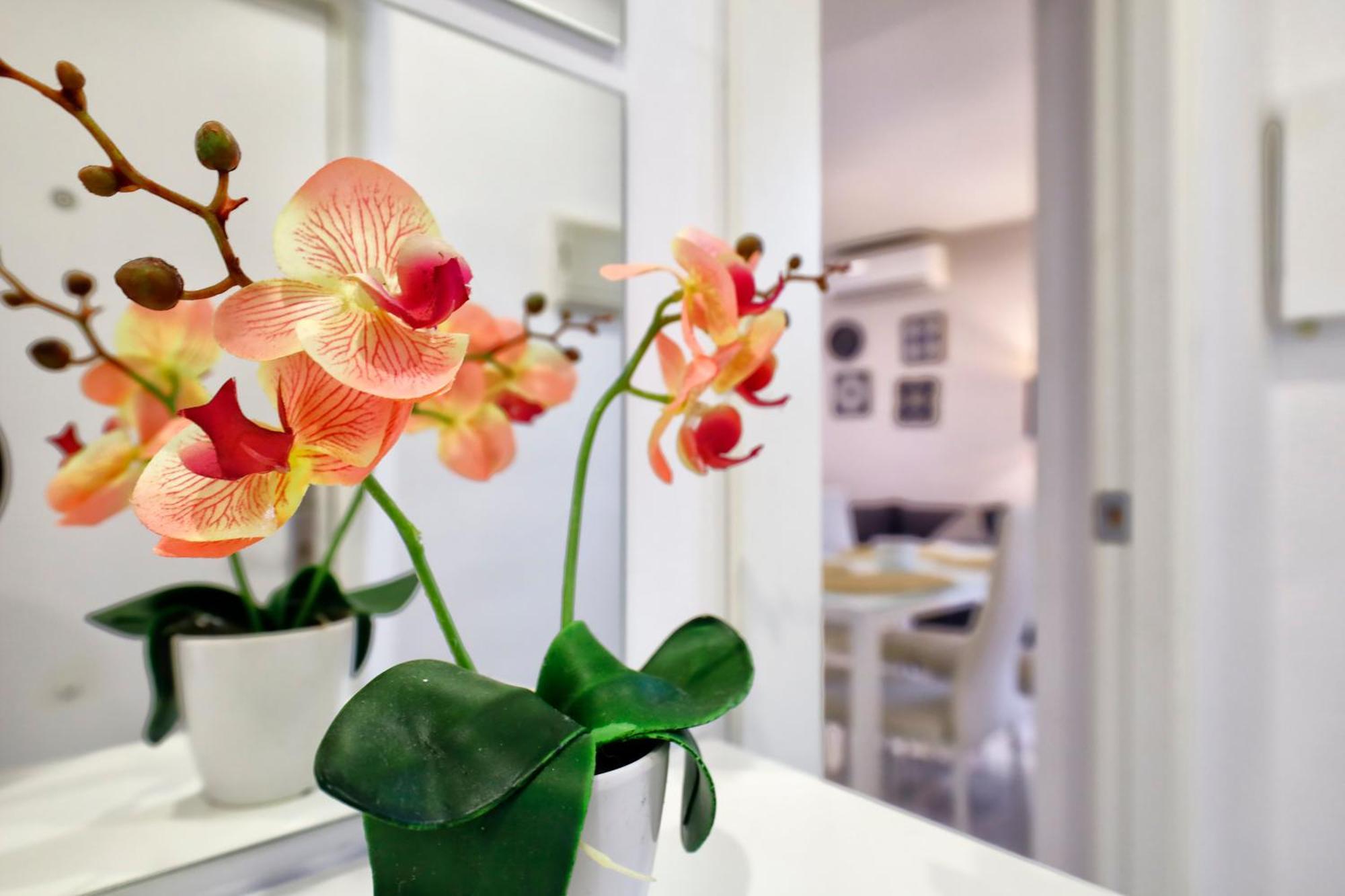 Encanto En La Juderia: Apartamento Con Patio Cordova Esterno foto